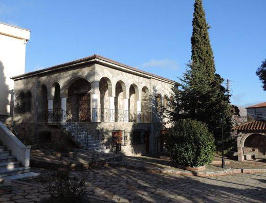 Εικόνα από το Παλαιοντολογικό Μουσείο Σιάτιστας