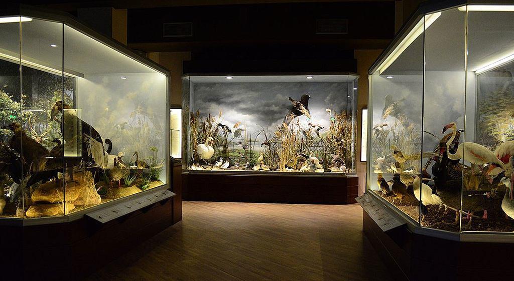 Εκθέματα από το Μουσείο Φυσικής Ιστορίας & από το μοναδικό Μουσείο Μανιταριών