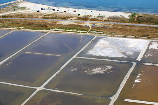 Υλικό από τις Αλυκές Κίτρους