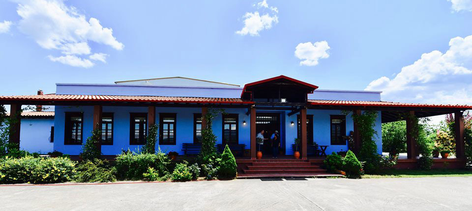 Στο εξωτερικό ενός εκ των σημαντικών Οινοποιίων Γουμένισσας