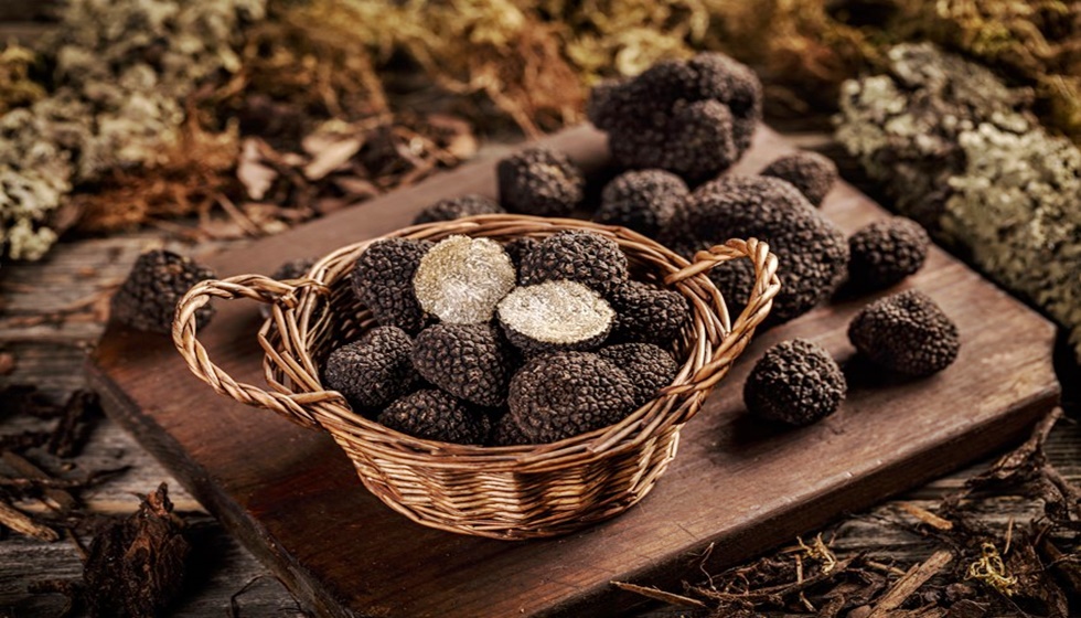 Καλαμπάκα, η Πόλη της Τρούφας