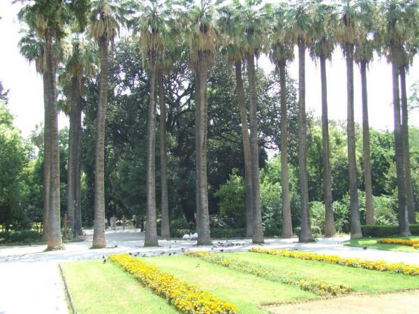 Στιγμιότυπο από τον Εθνικό Κήπο των Αθηνών