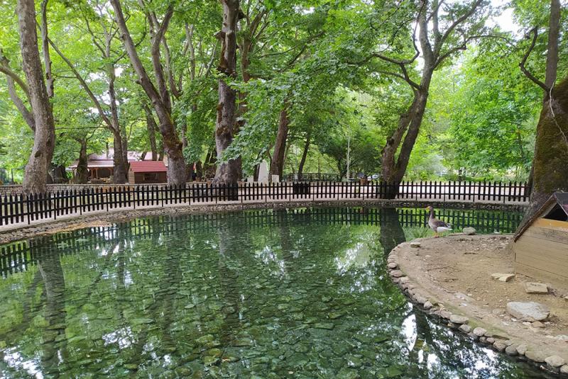 Πάρκο Κεφαλόβρυσο: Μία κοντινή απόδραση στη φύση από το Καρπενήσι