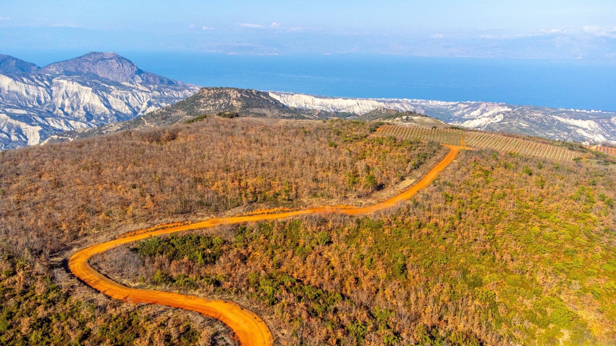 Το πολύχρωμο και ξεχωριστό Δρυοδάσος του Μογγοστού